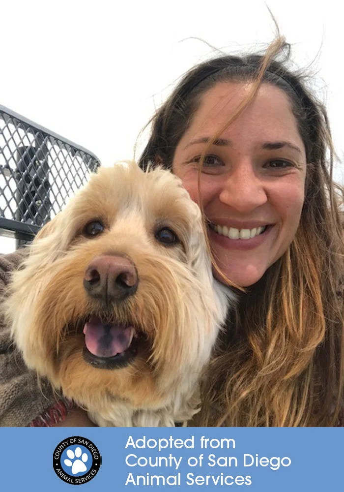 ๐ถ of Yadira Figueroa, Department of Animal Services