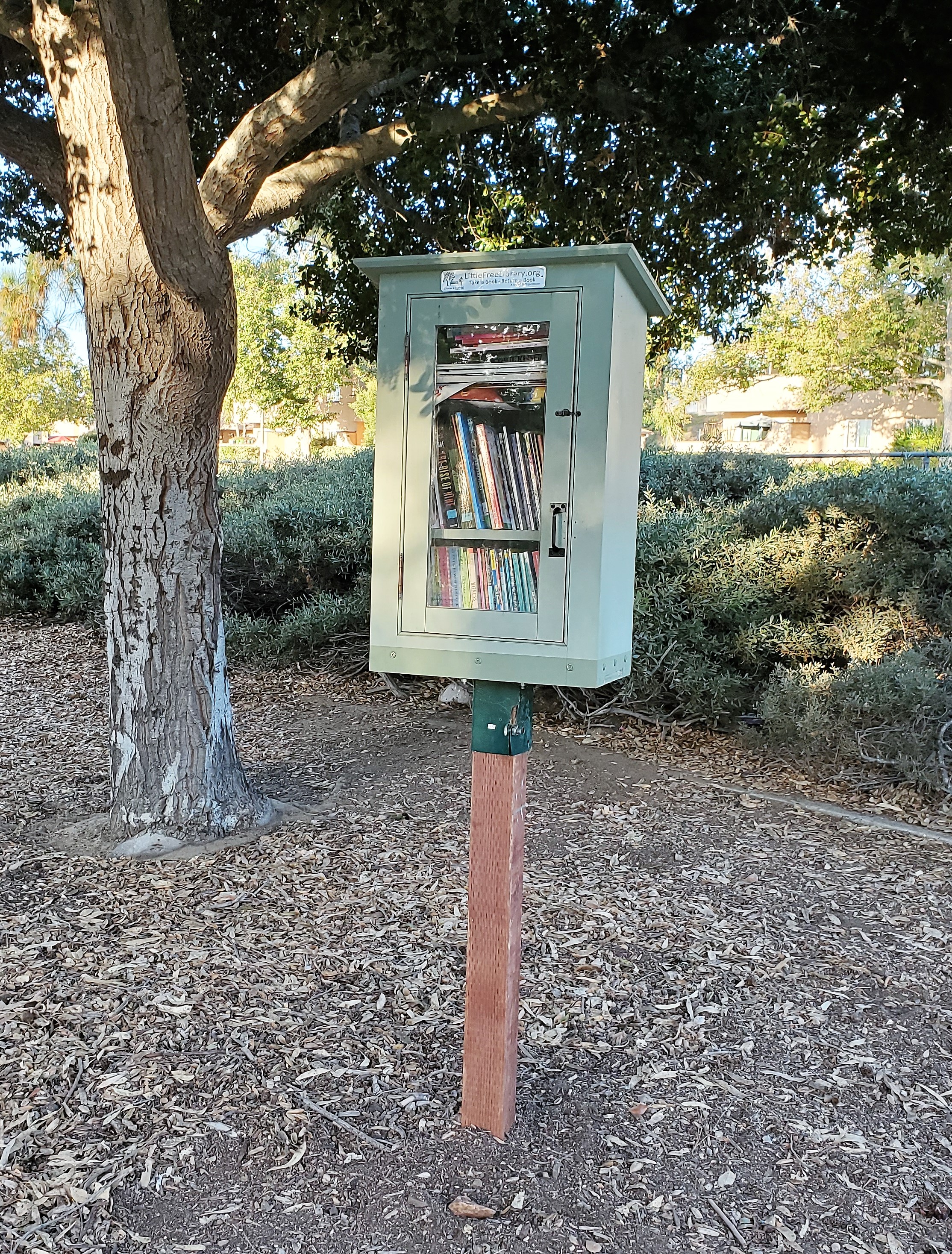 A Little Free Library near Eyah Swambat’s home in Santee