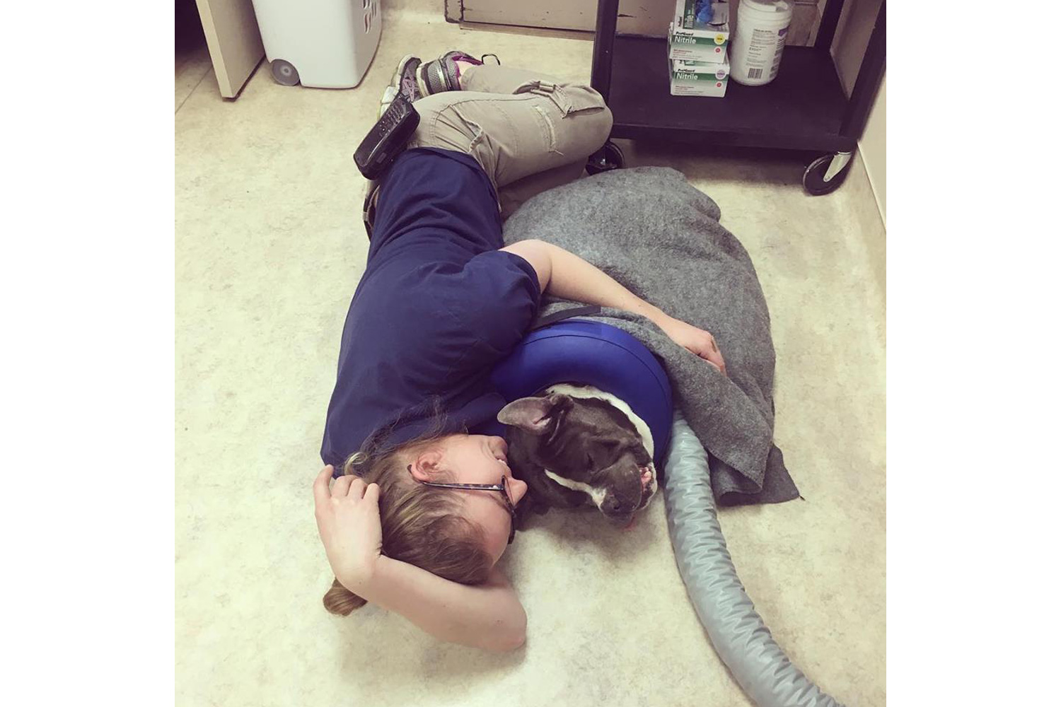 Anna Kremen: Surgery snuggles