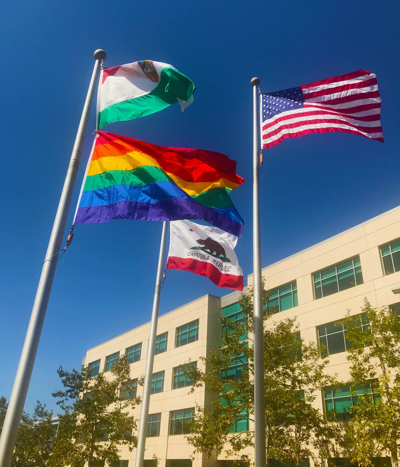 flag-edited.jpg
