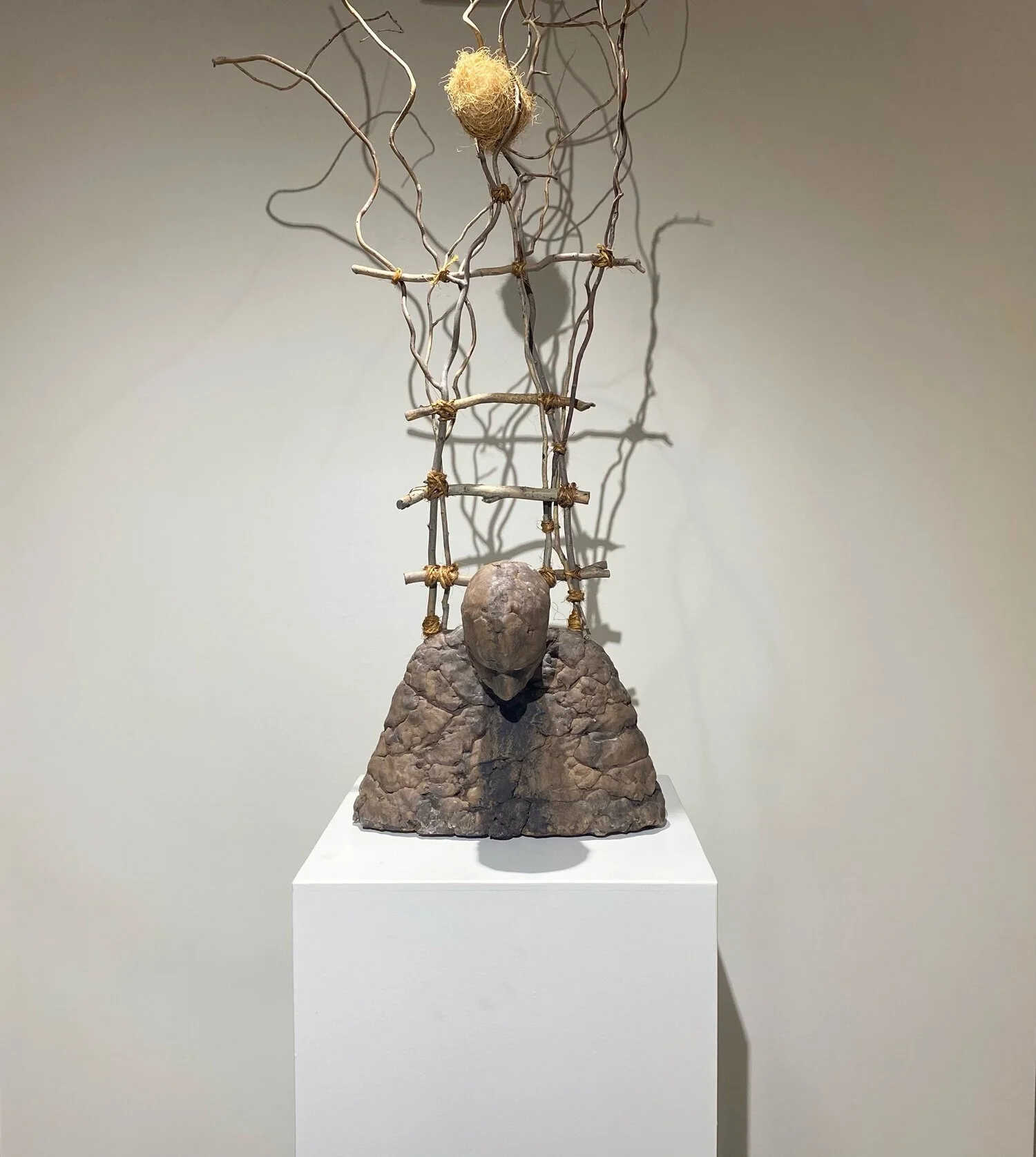 William Catling, Navigating the Deep Pelagic