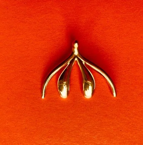 WHY DO WE NEED A BOOK ABOUT THE CLITORIS? 