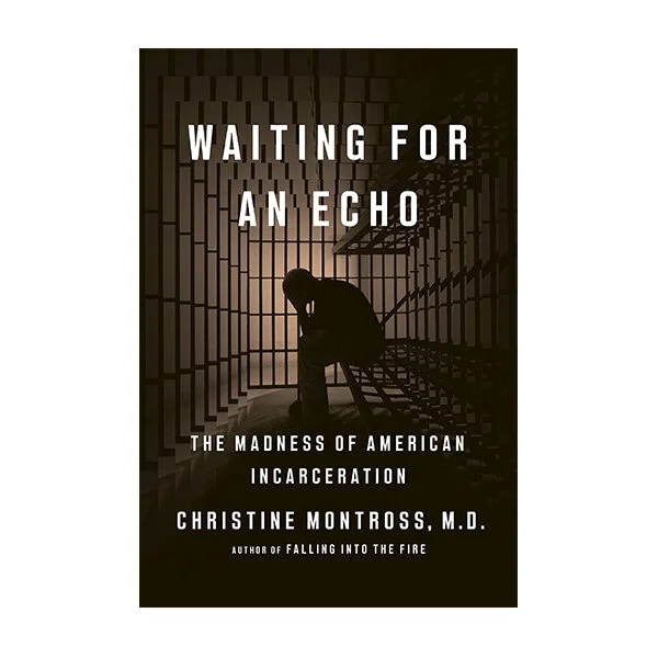 Waiting for an Echo: The Madness of American Incarceration