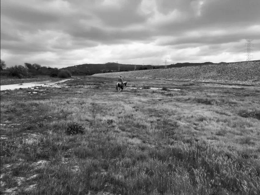Interspecies Assemblage: The San Gabriel Valley through the lens of Jesús Romo 