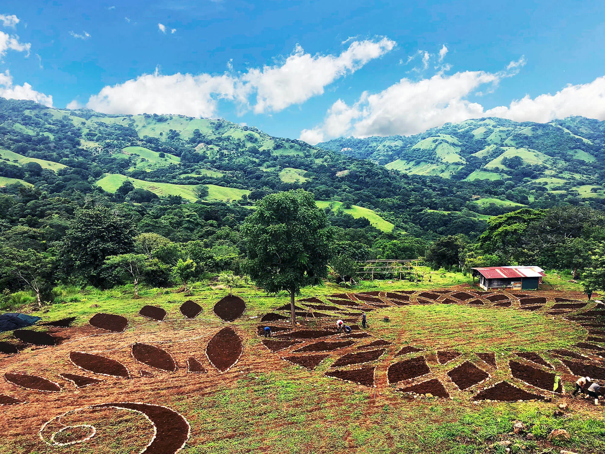the Alegría Village farm in progress, August 2018