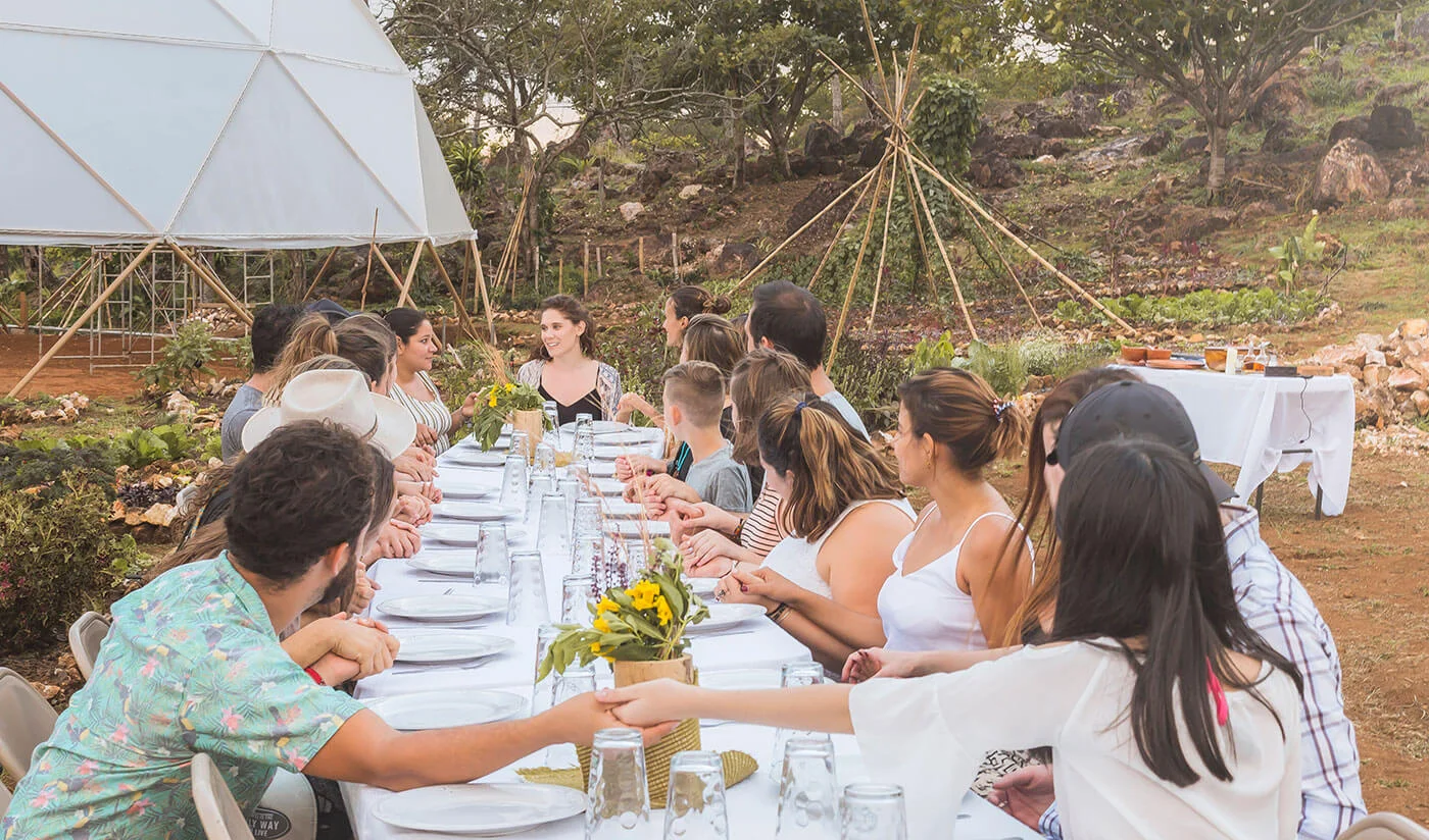 Alegria-farm-to-table-dinners.jpg