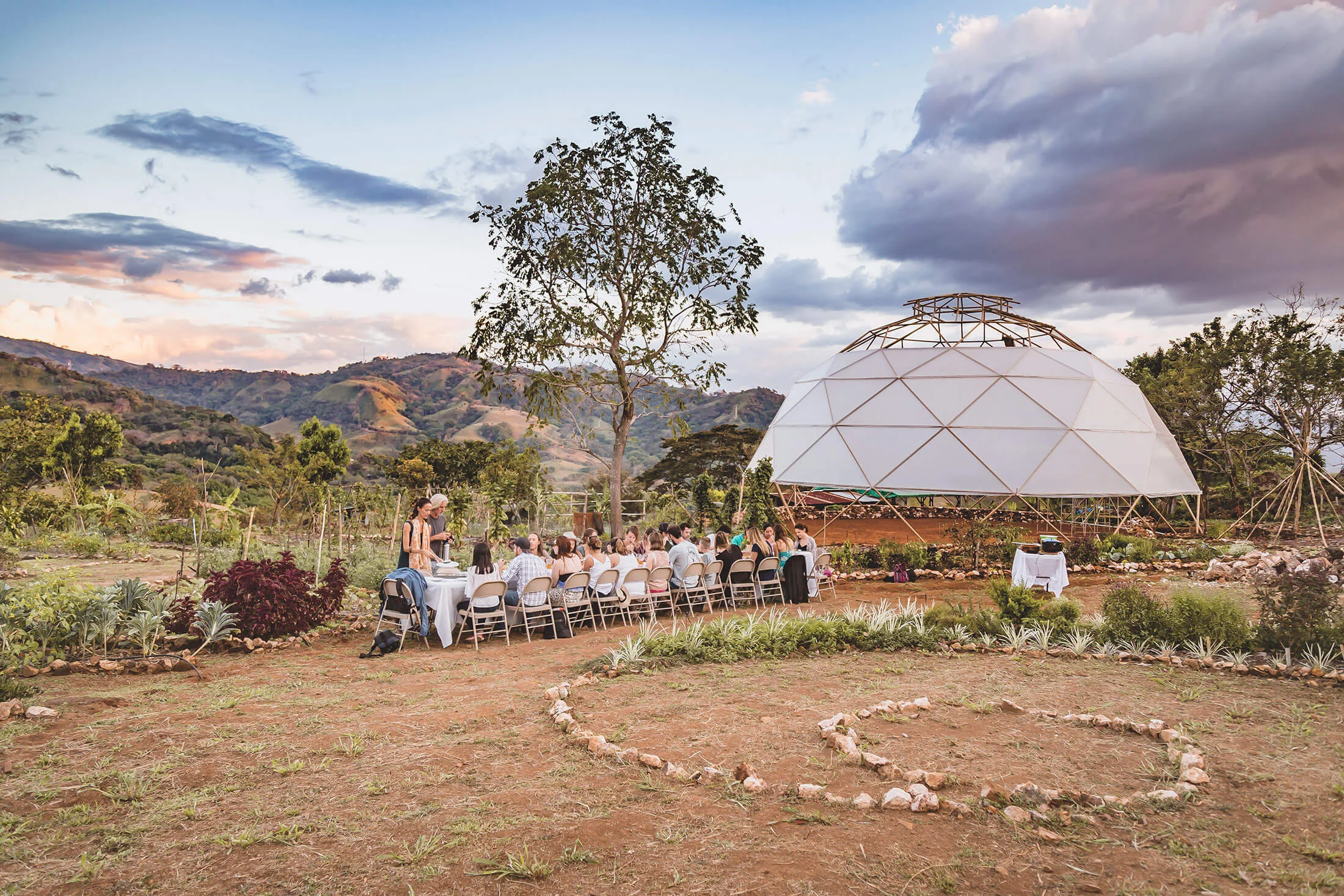 Farm-to-table dinner at Alegría