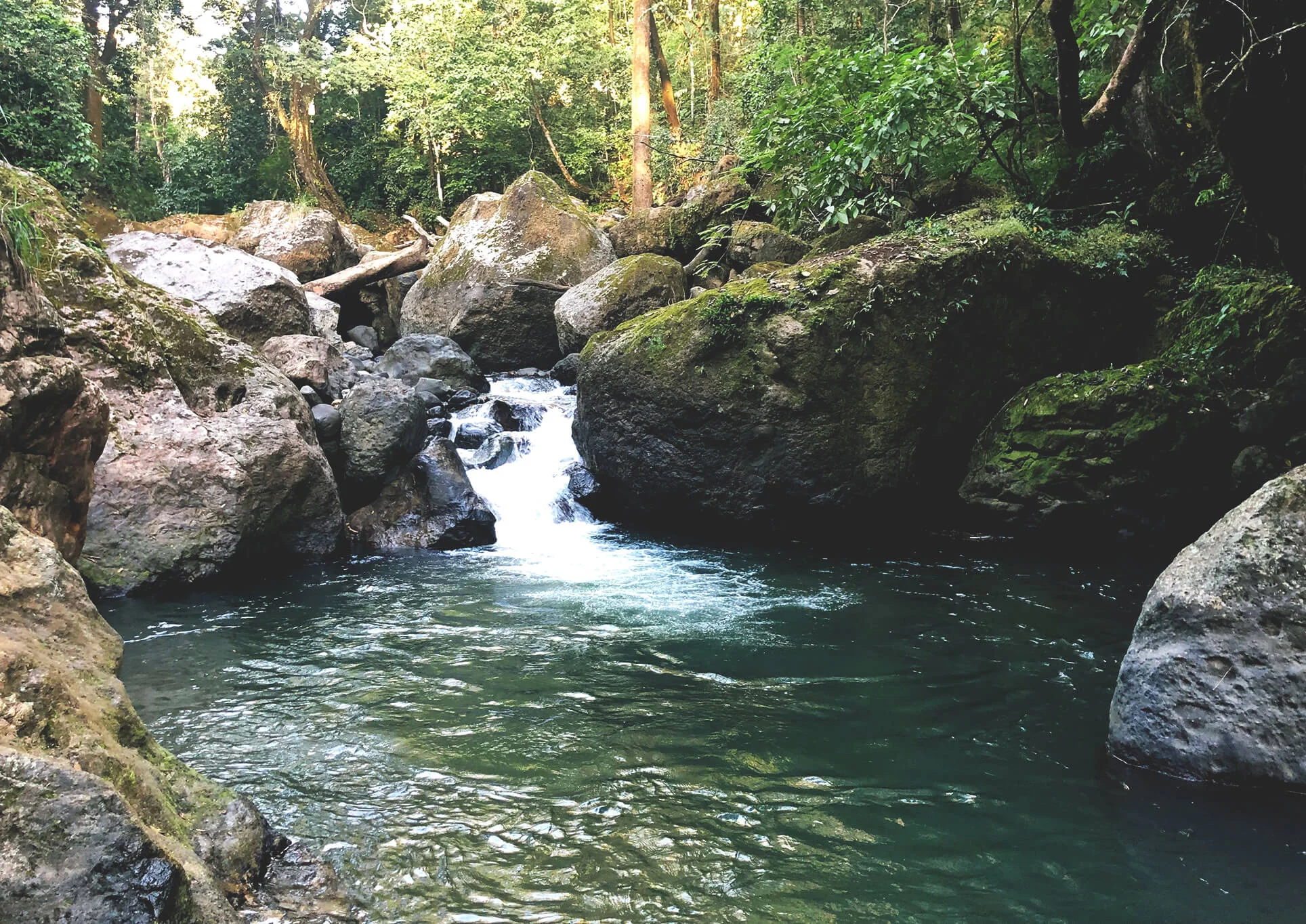 Drink from the Land Alegría is next to the crystal clear Rio Machuca. Our water comes from natural springs on the property and an abundant underground river. The Land