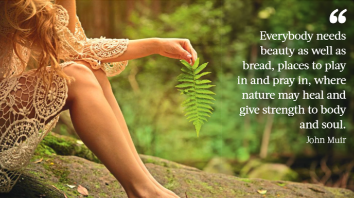 Forest bathing image.png