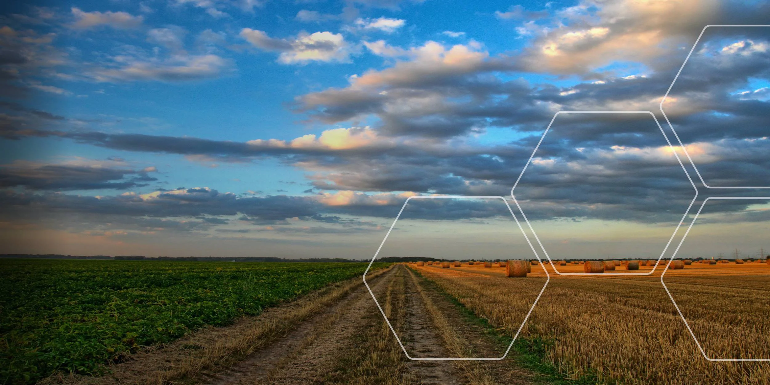 Banner met grid.jpg