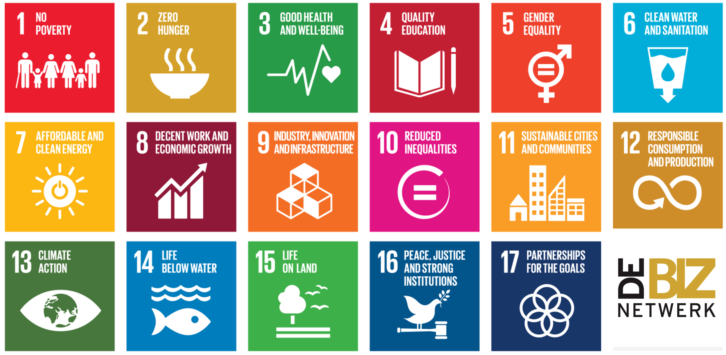WEBINAR: SDG VERDIEPINGSSESSIE