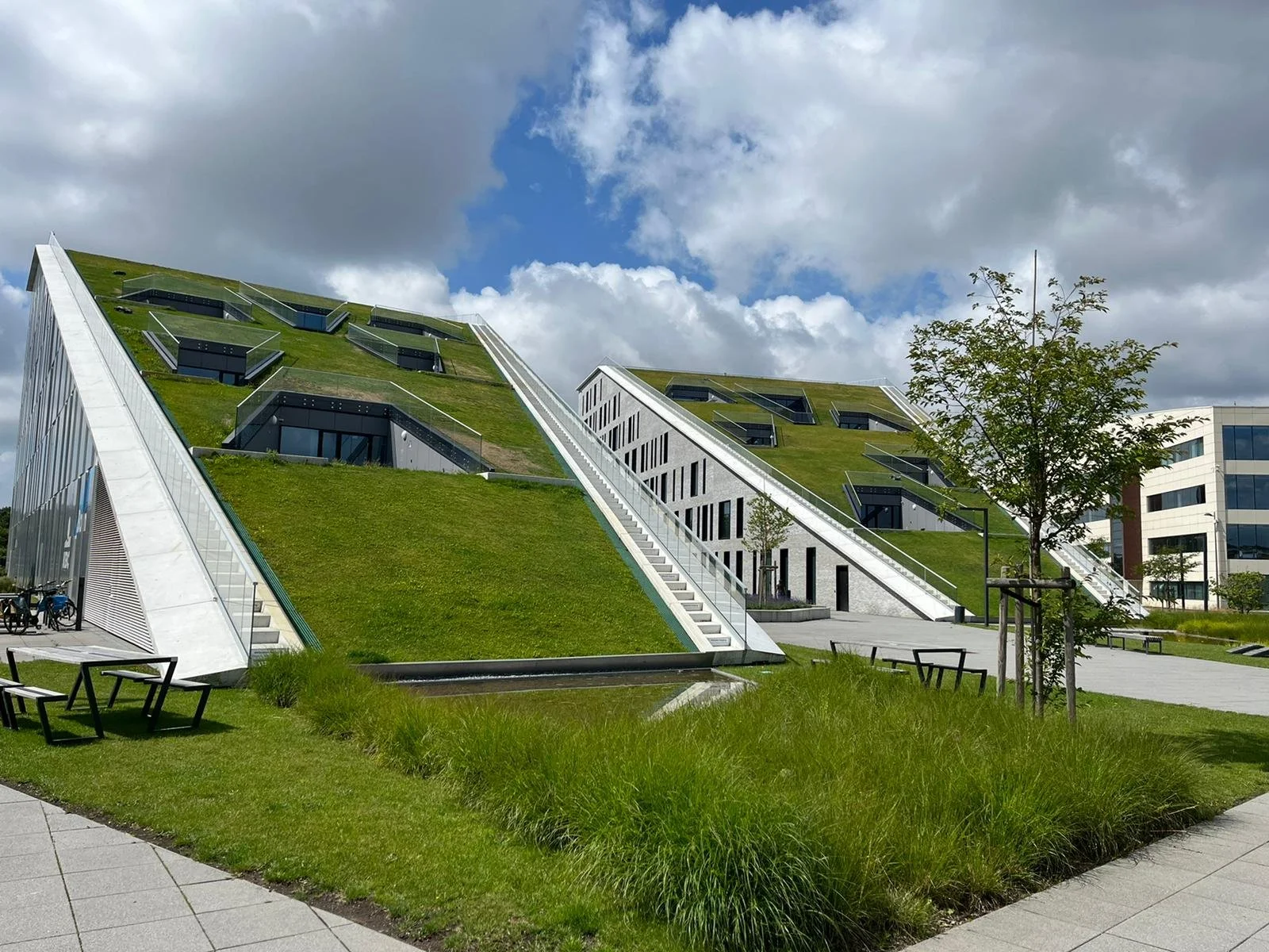 DE PARELTJES VAN BELGISCH LIMBURG