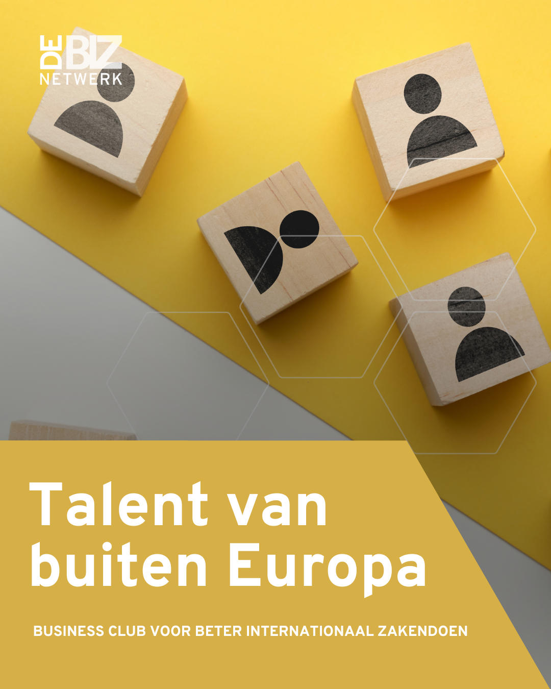 Kennismigranten in Nederland: talent van buiten Europa