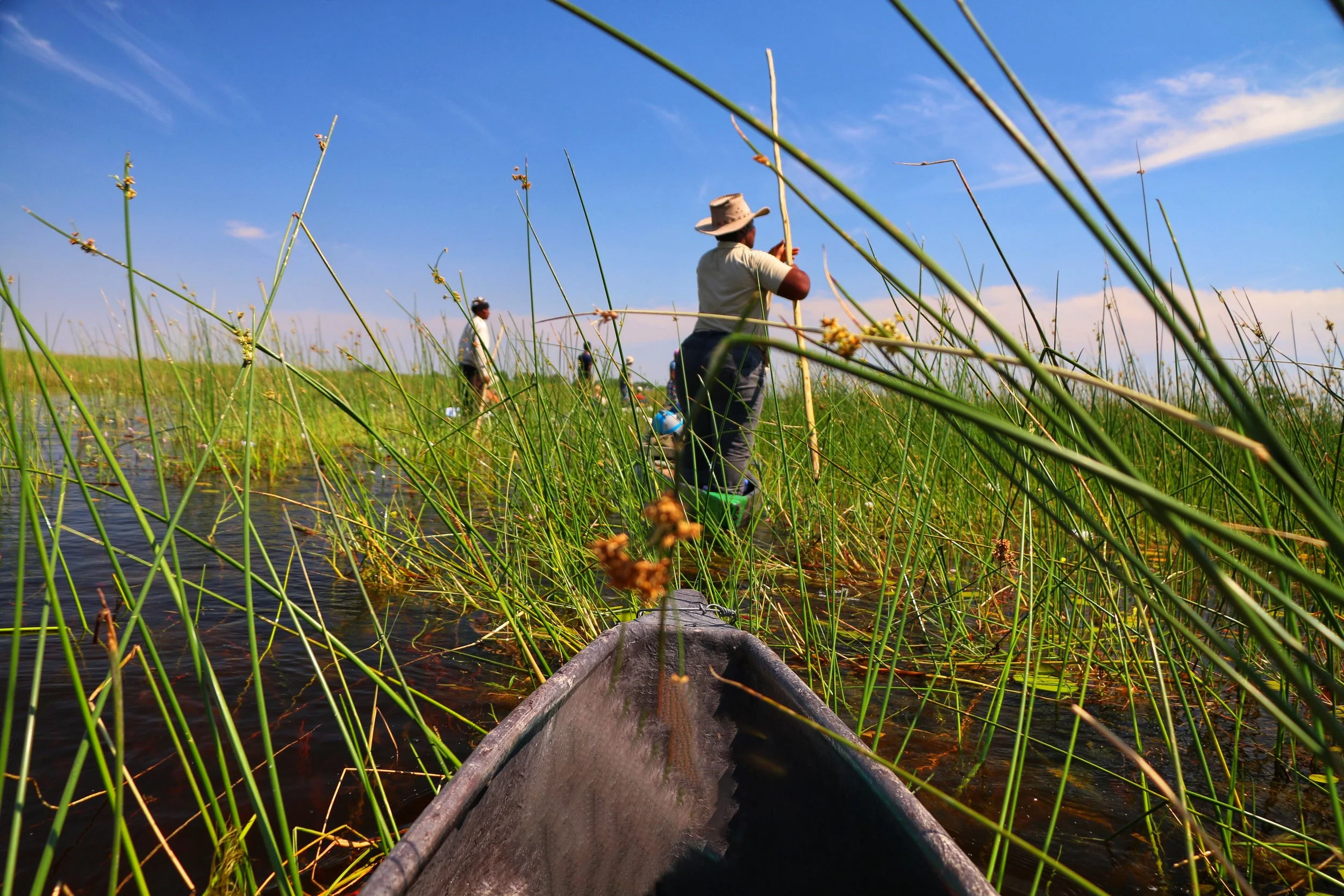 Botswana: Okavango Delta