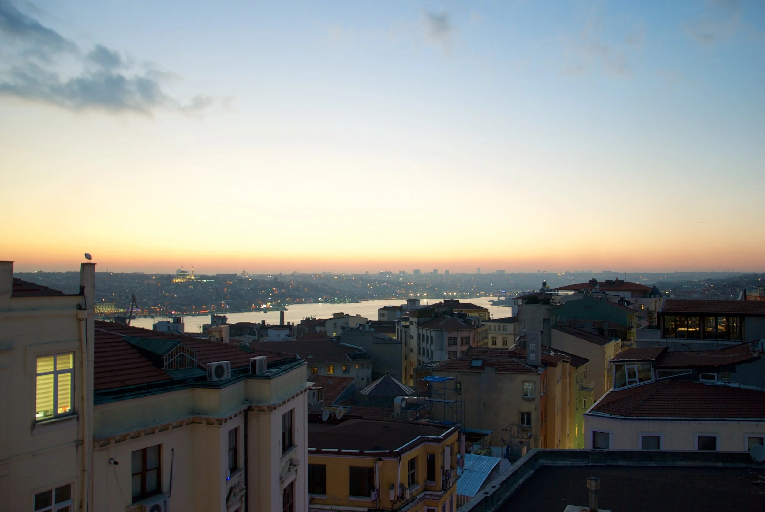 DSC_0428.jpg