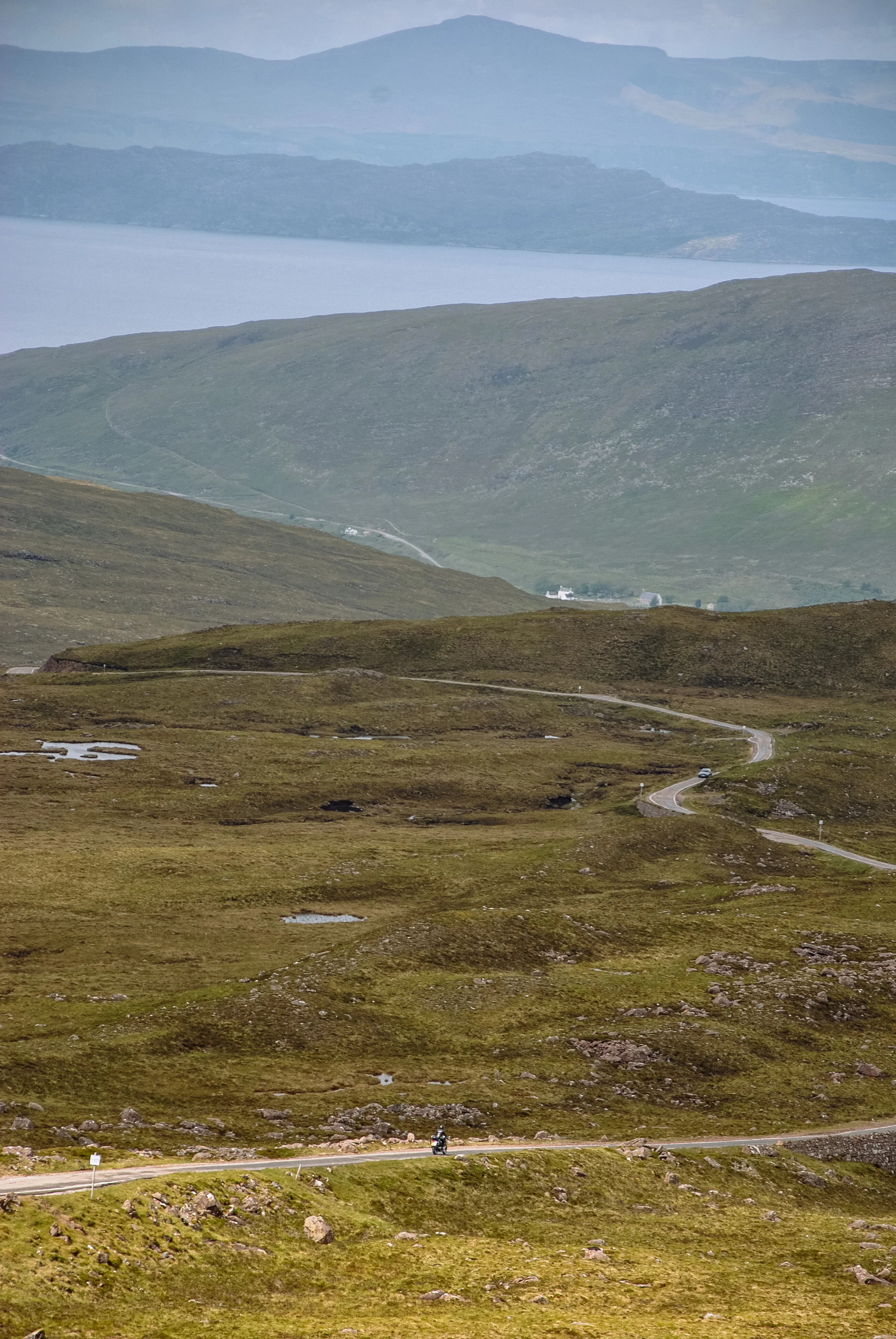 DSC_4503.jpg