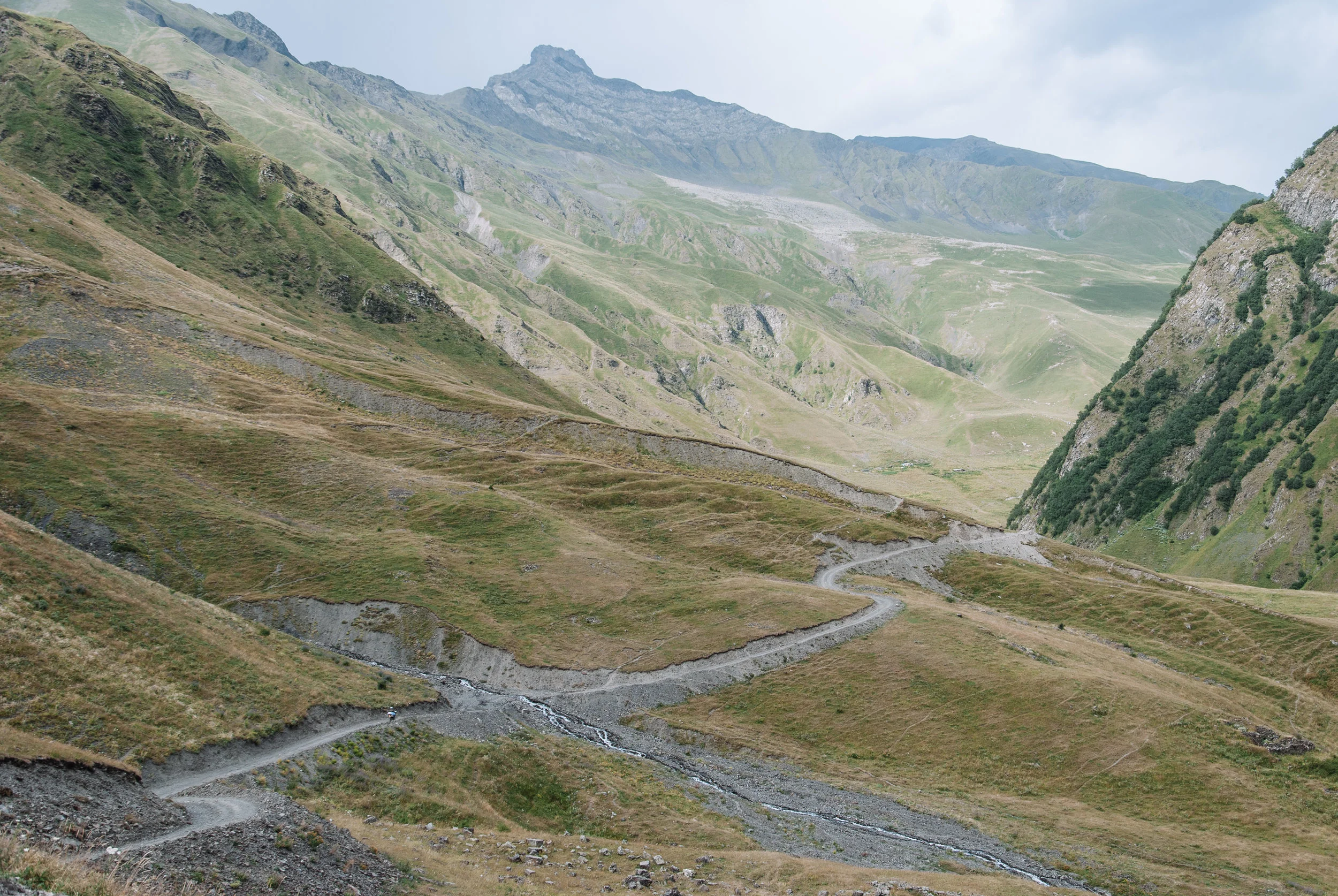 DSC_0765.jpg