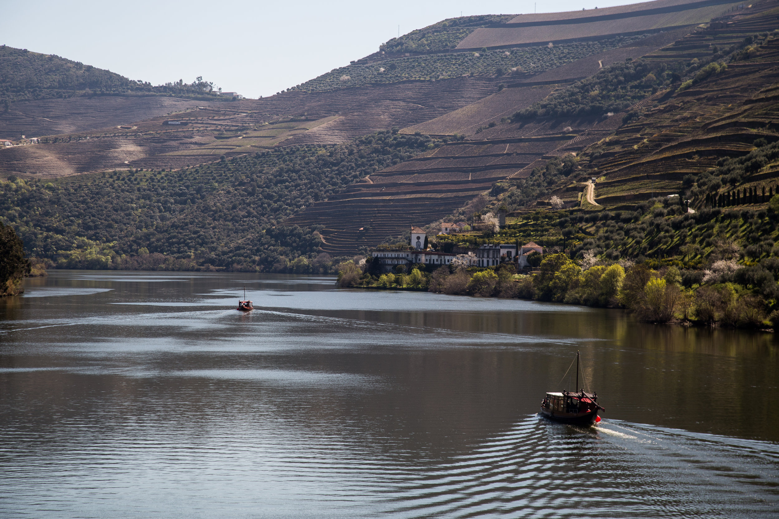 The Douro River, Valley famous for port production