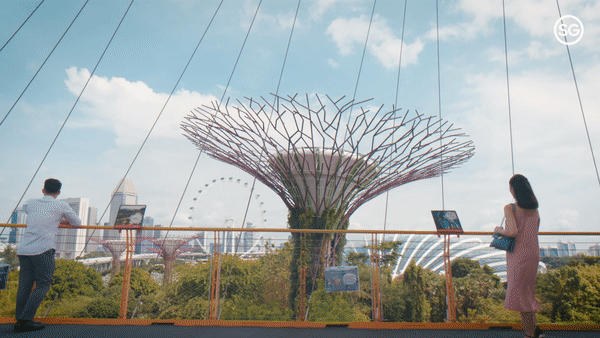 Magic Bino Opening.gif