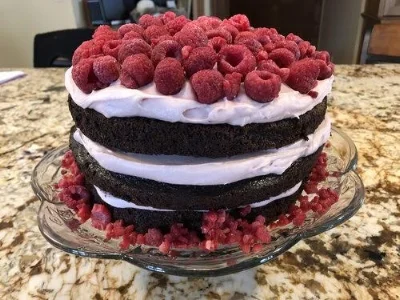 chocolate raspberry dream cake.jpg