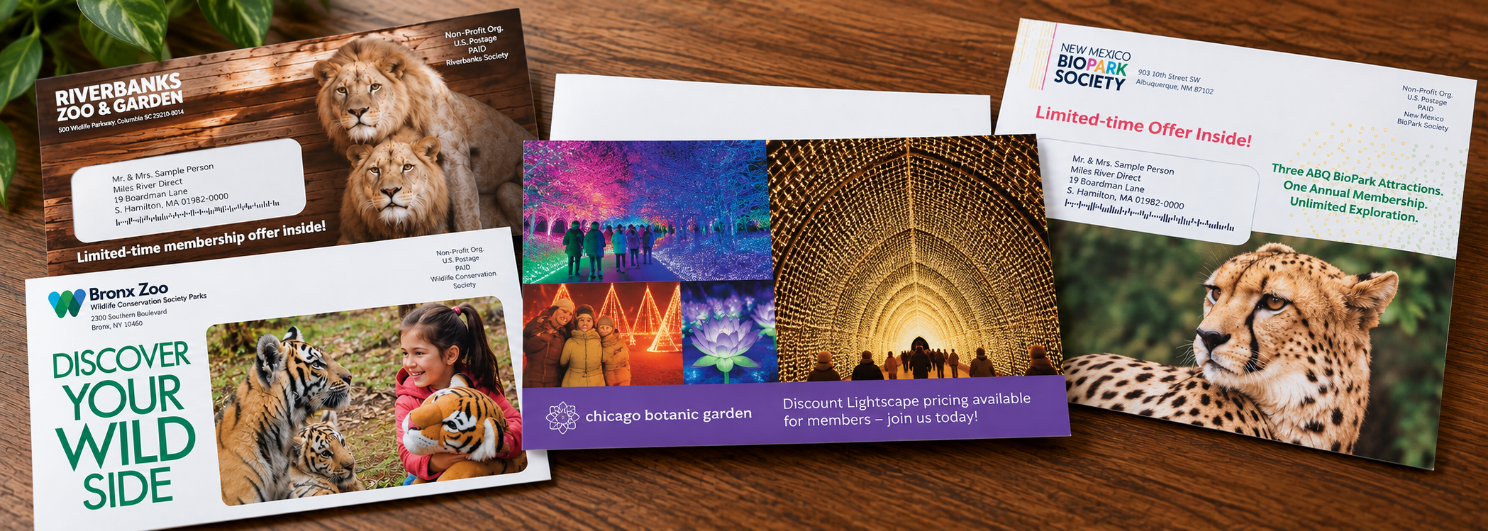 Wildlife and Garden Mailer Collection.png
