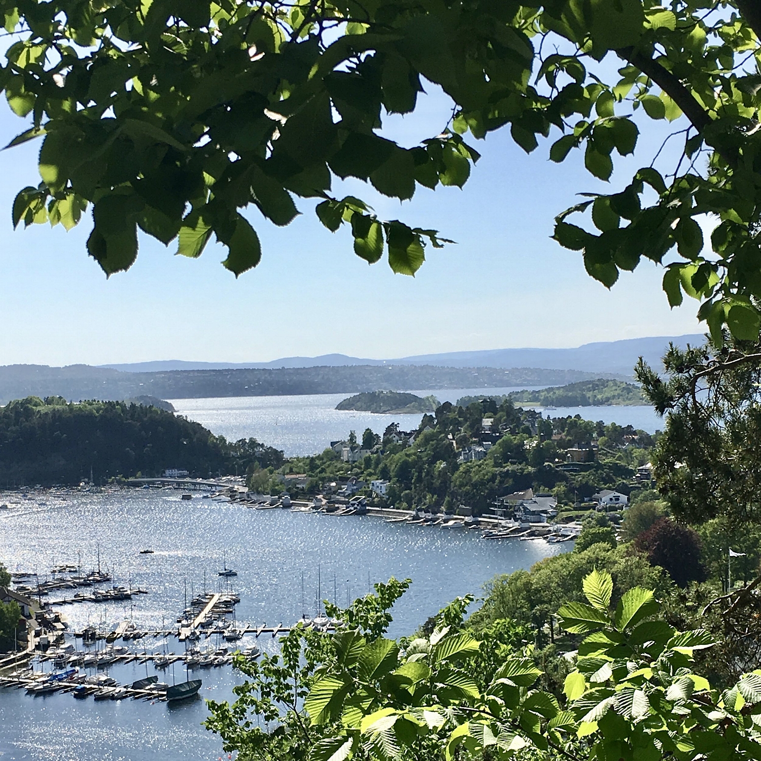 Utsikten på en typisk tur i nabolaget, det er bare sååå vakkert!