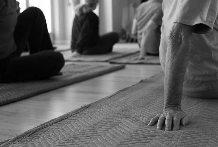 Feldenkraislesson8.JPG