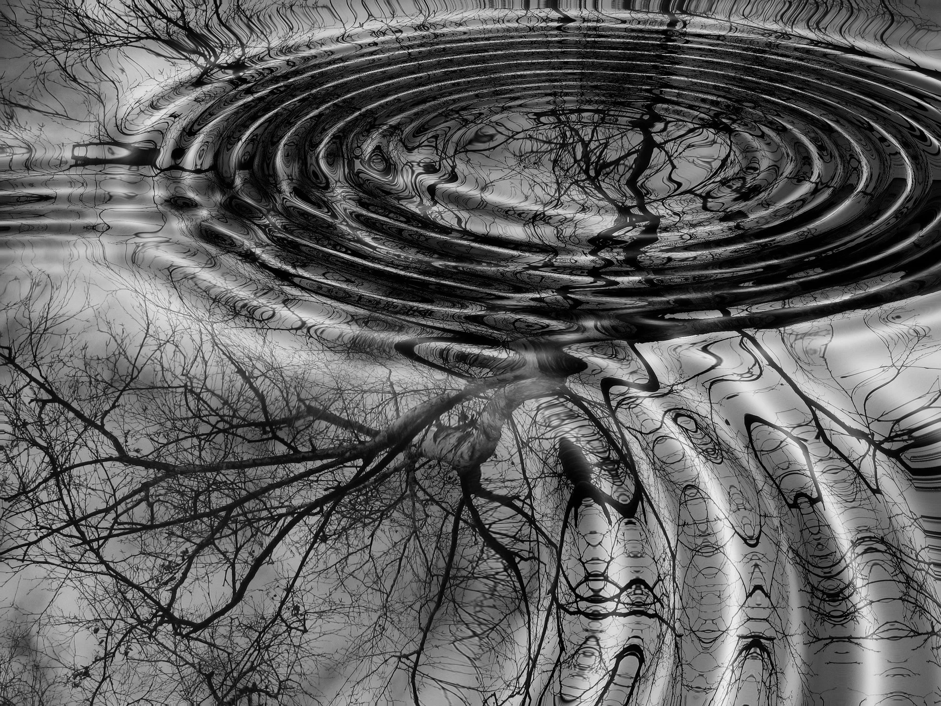 rings-66621_1920.jpg