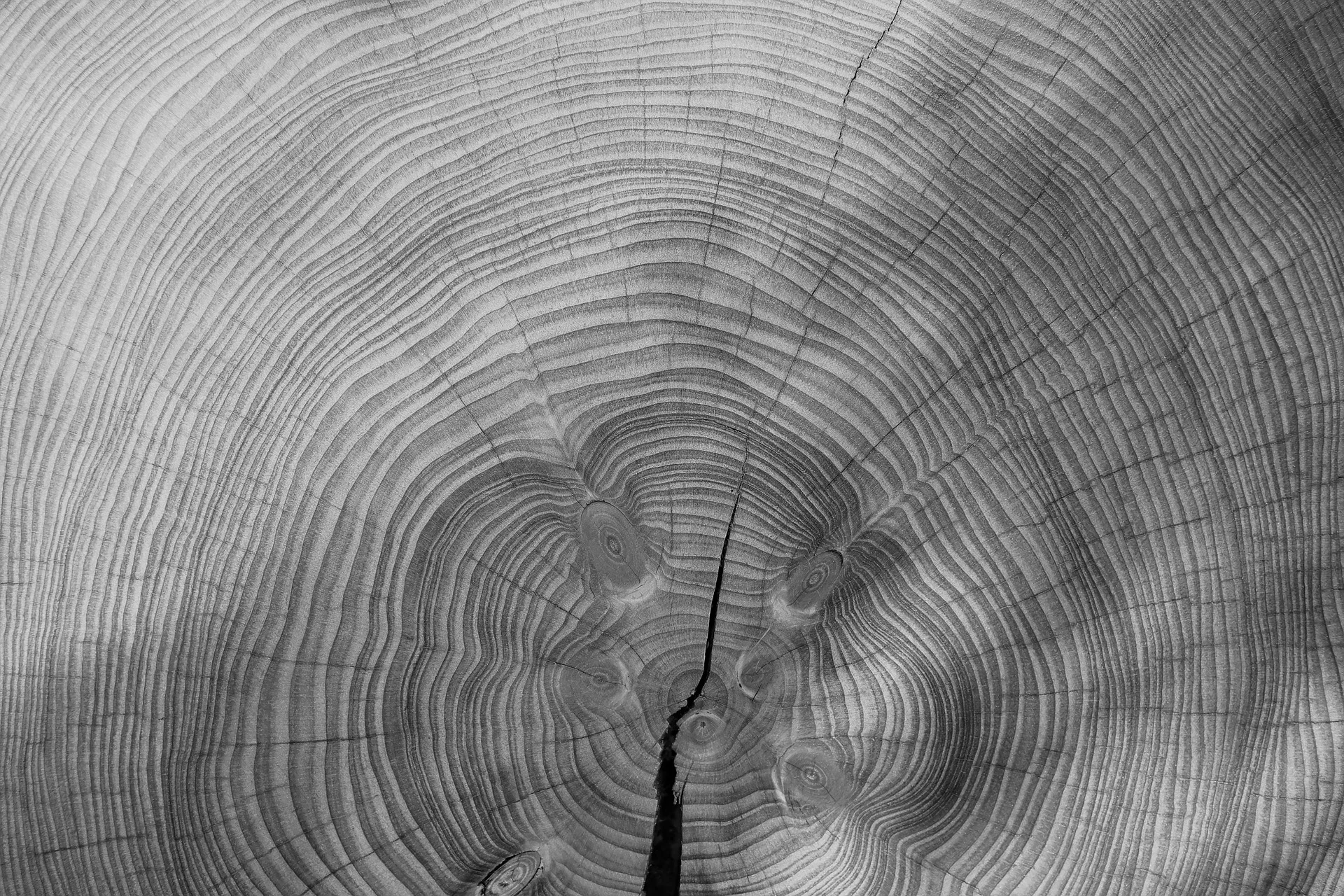 wood-3212803_1920.jpg