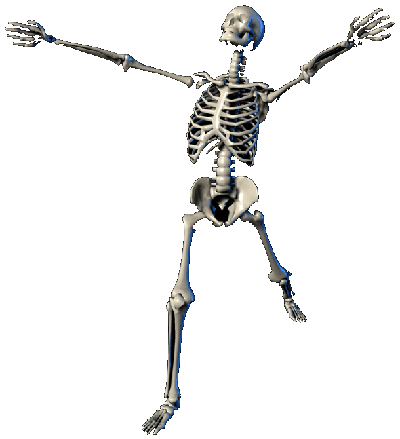 feldenkrais skeleton.gif