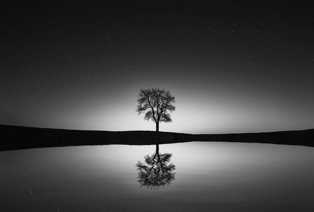 tree-736881_1280.jpg