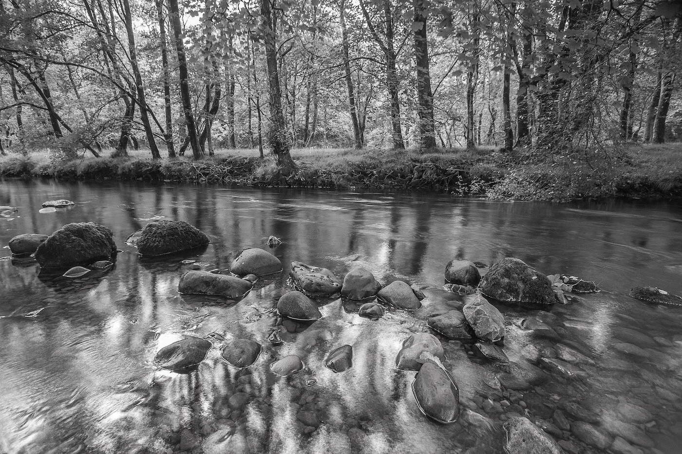 river-1562262_1920.jpg