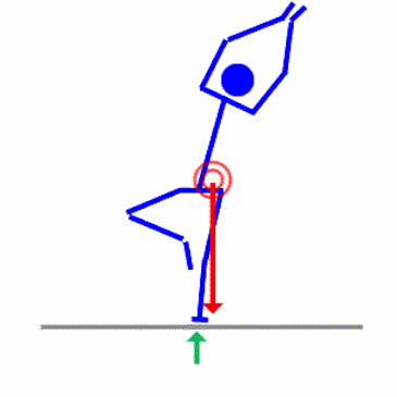 center of gravity 2.gif