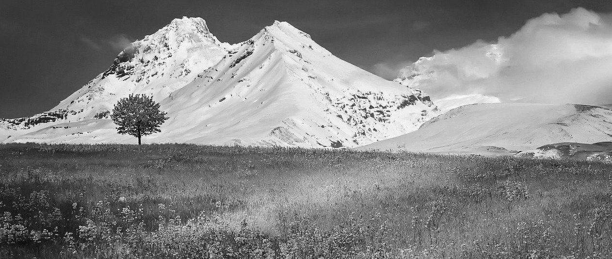 mountains-g8efab245d_1280 copy.jpg