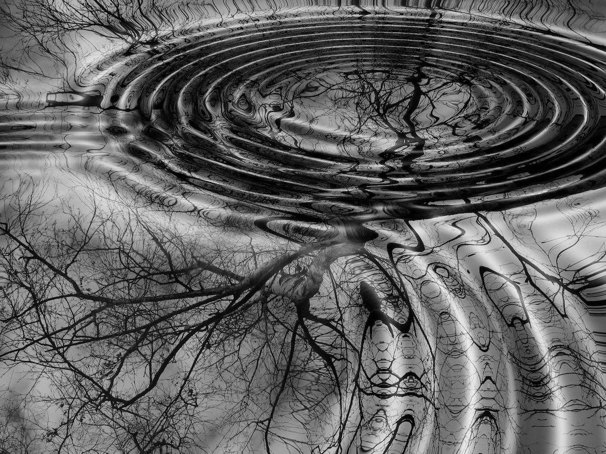 rings-66621_1920.jpg