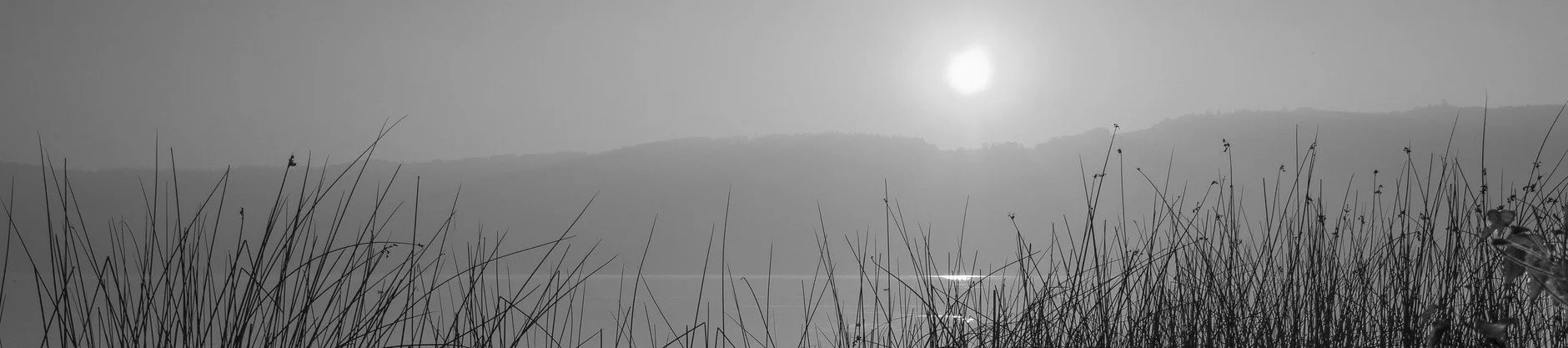 sunrise-g80c0a3756_1920.jpg