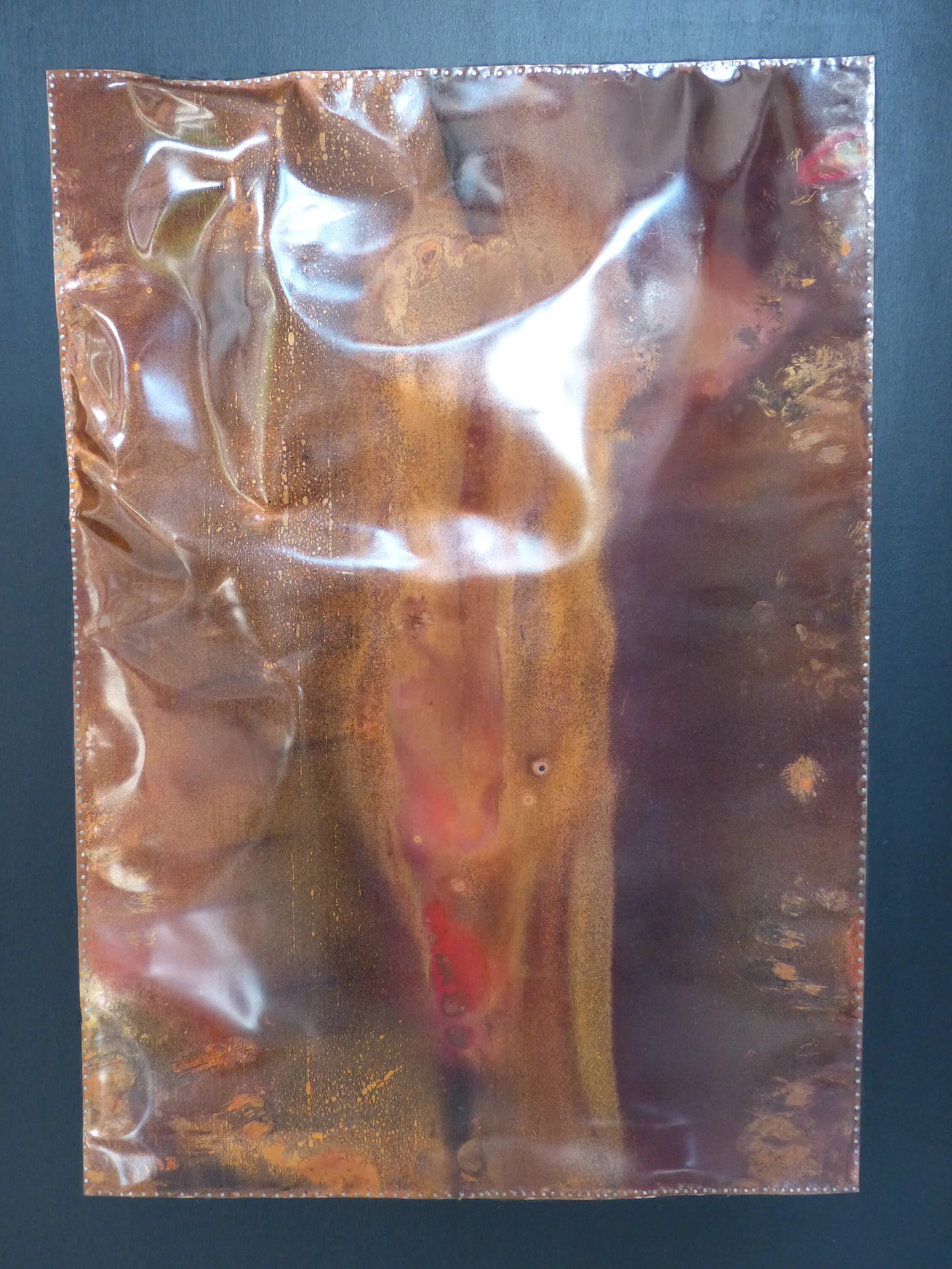 Amazzonia, particolare, 2020, rame su legno, cm 110x75