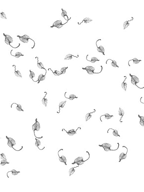 leafpaper.gif