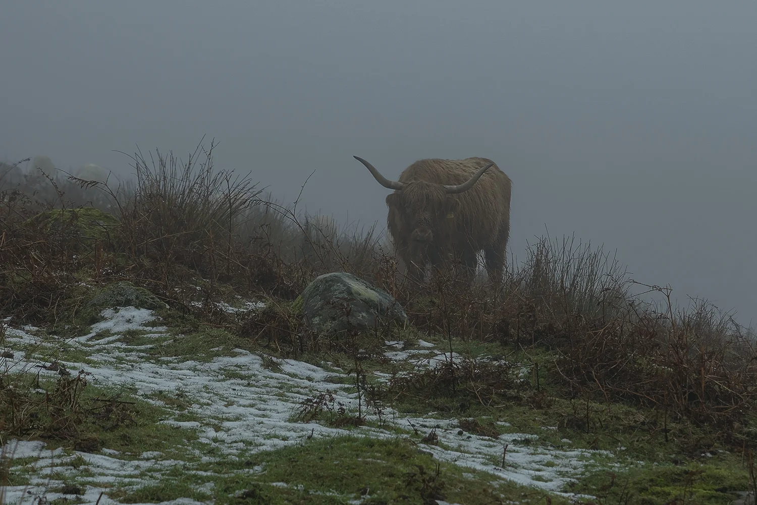Out of the fog.