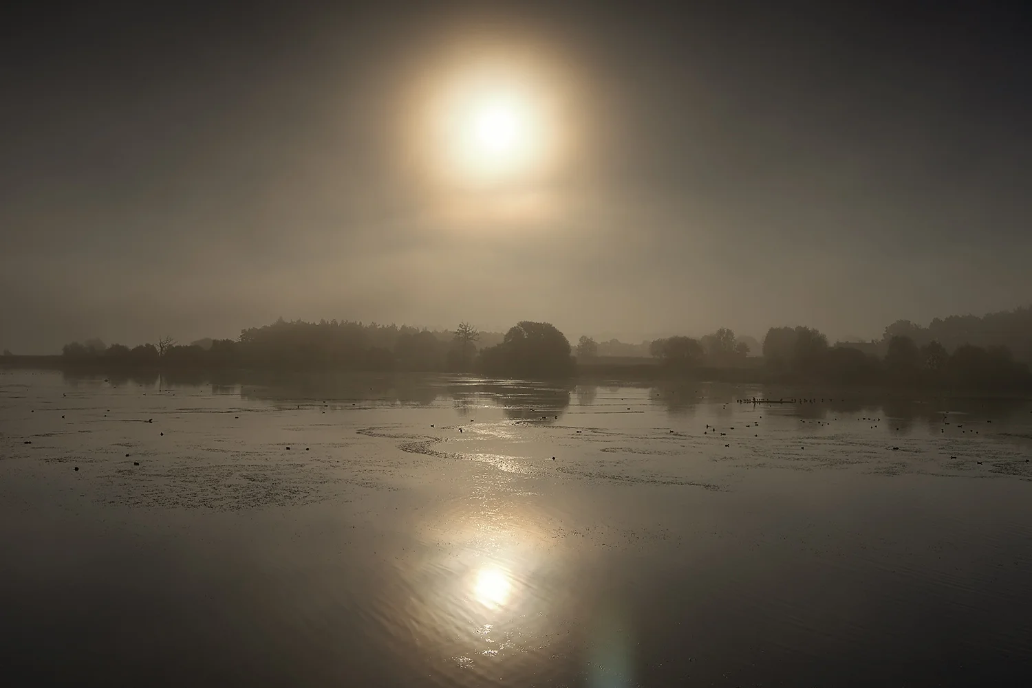 Sunrise with the mist lifting at Chew Valley Lake