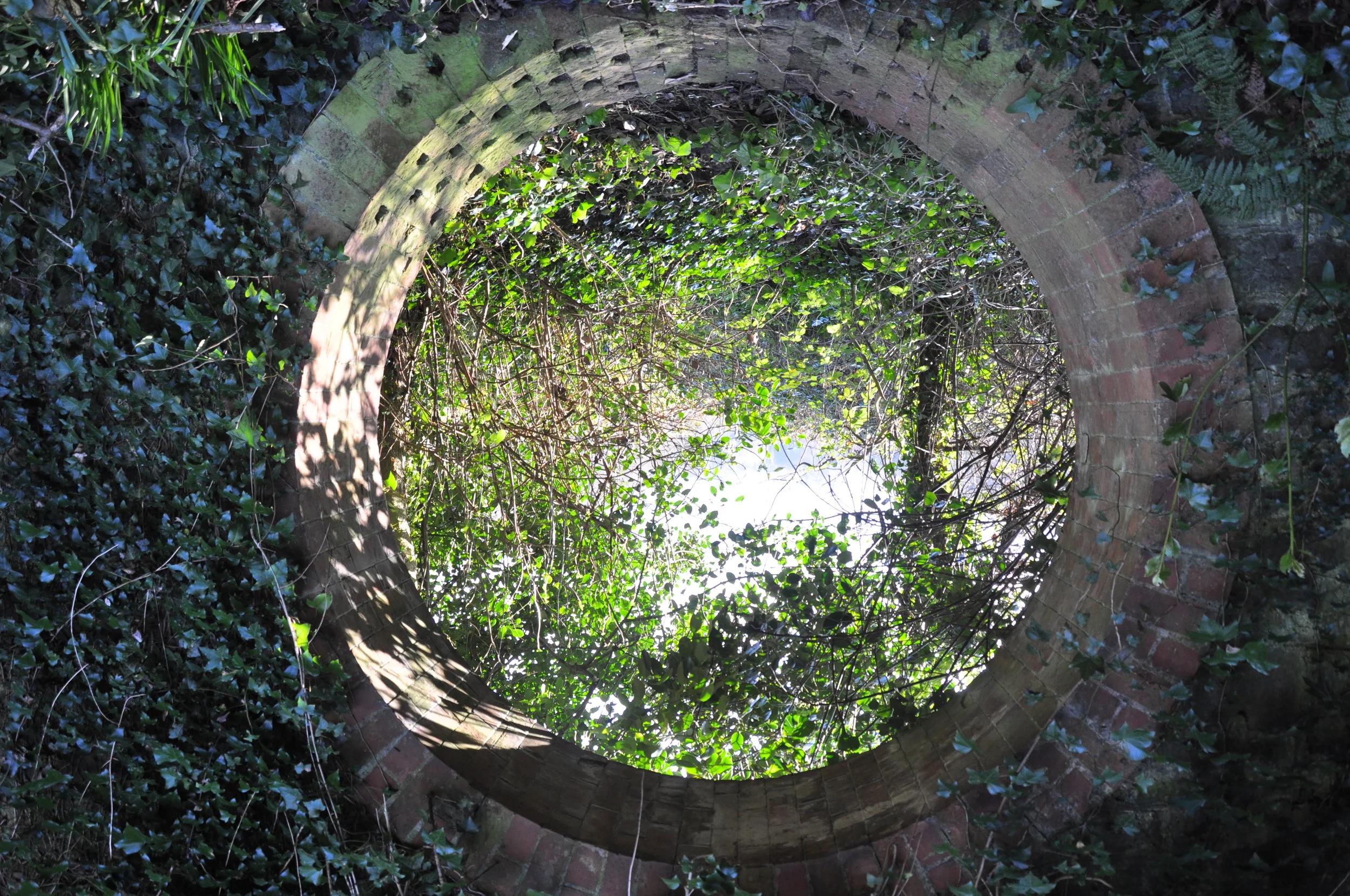 Spool Loops photograph.JPG