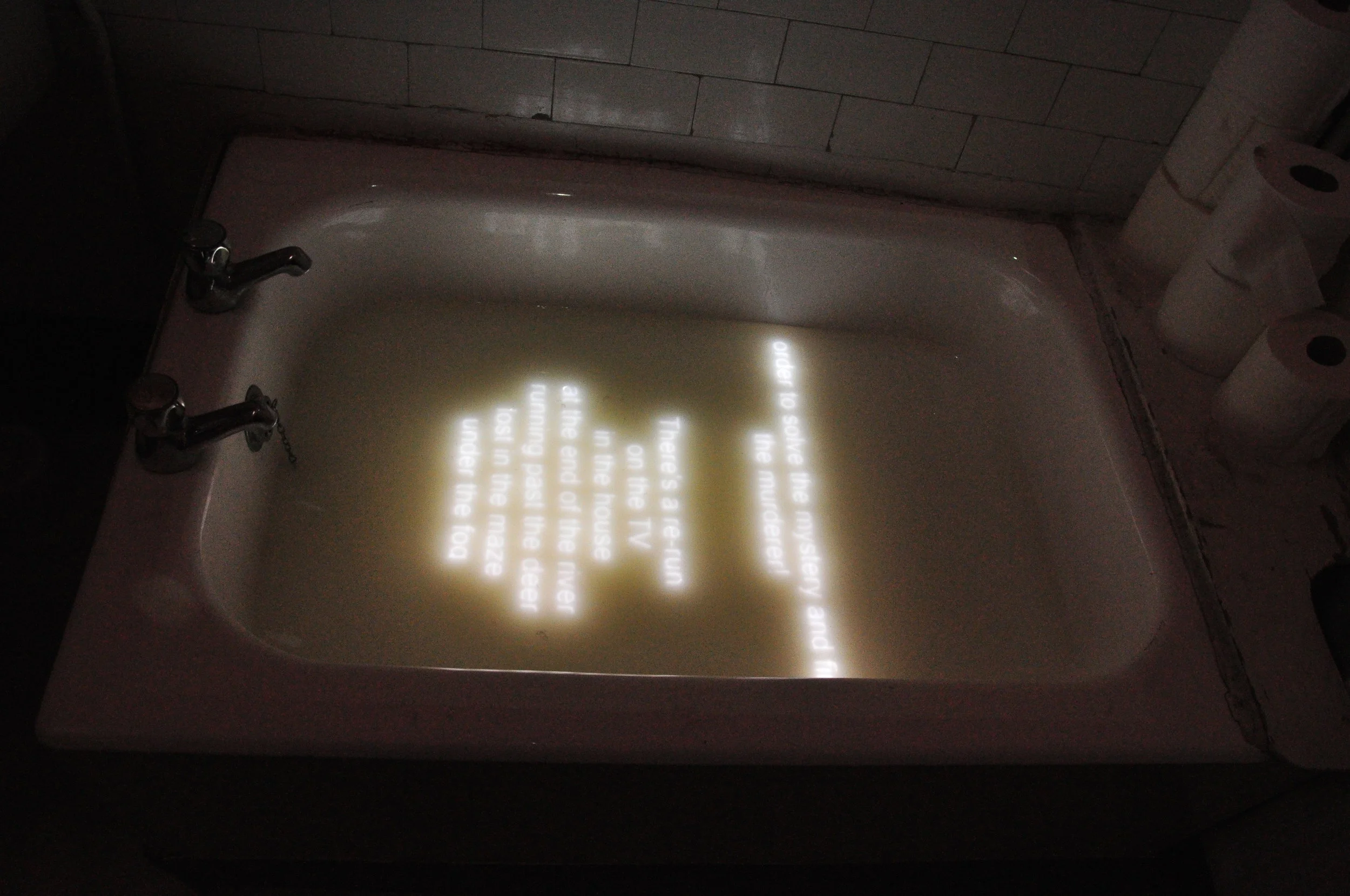 Territory of Strangers, bath text scroll, 2014.JPG