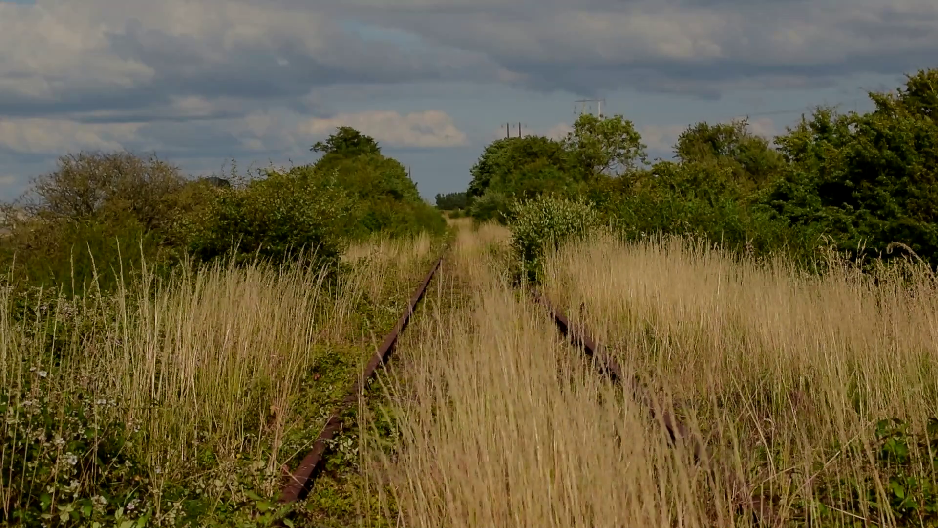 Losing Track screenshot VII.png