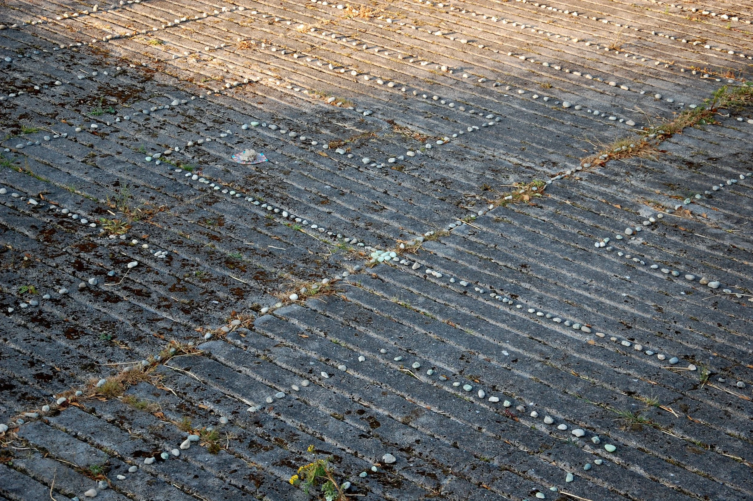 porta portal labyrinthe.JPG