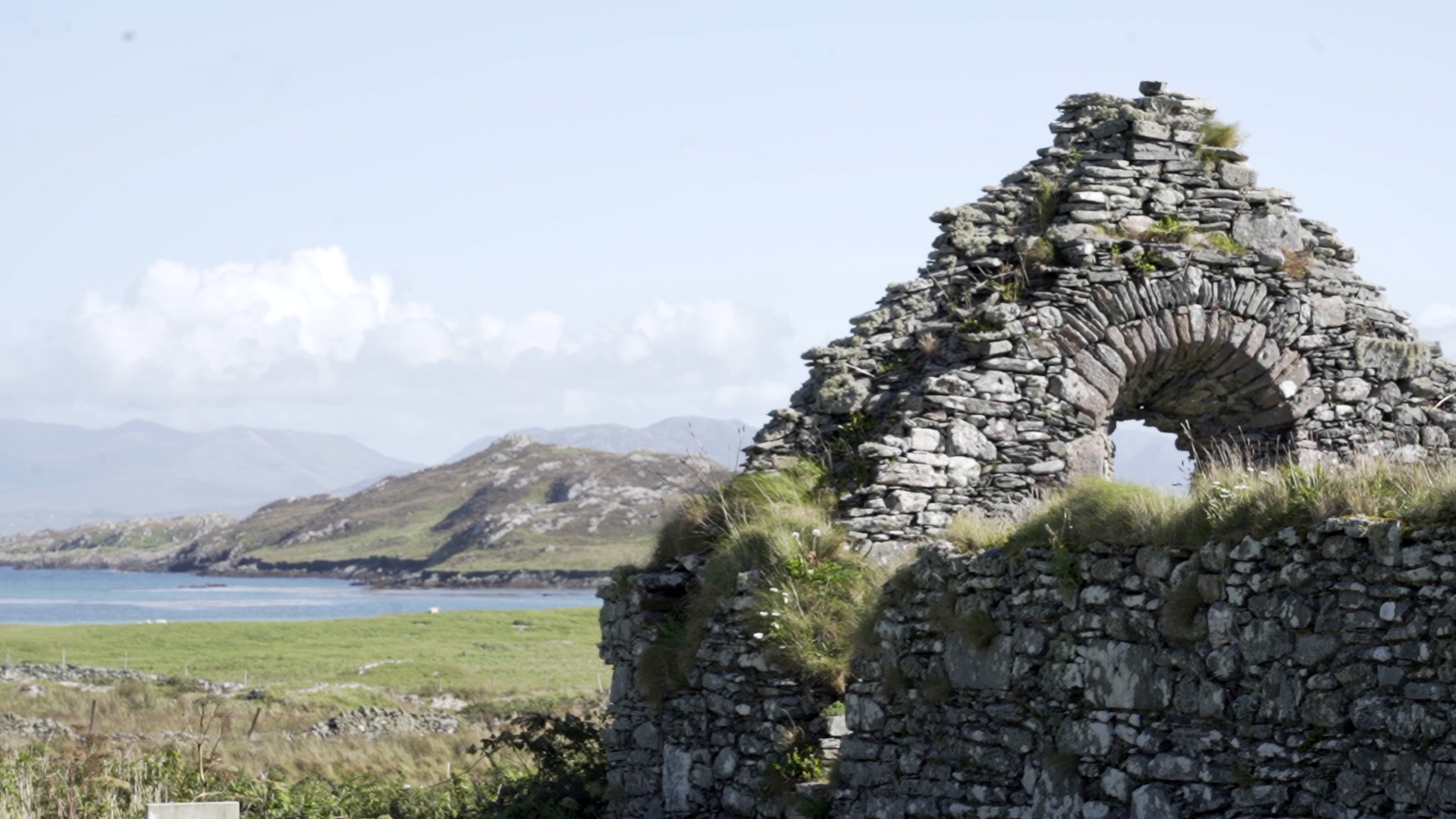 potp still for thumb.png