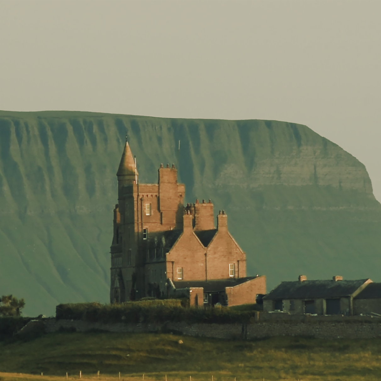 001 Taimse_still.png