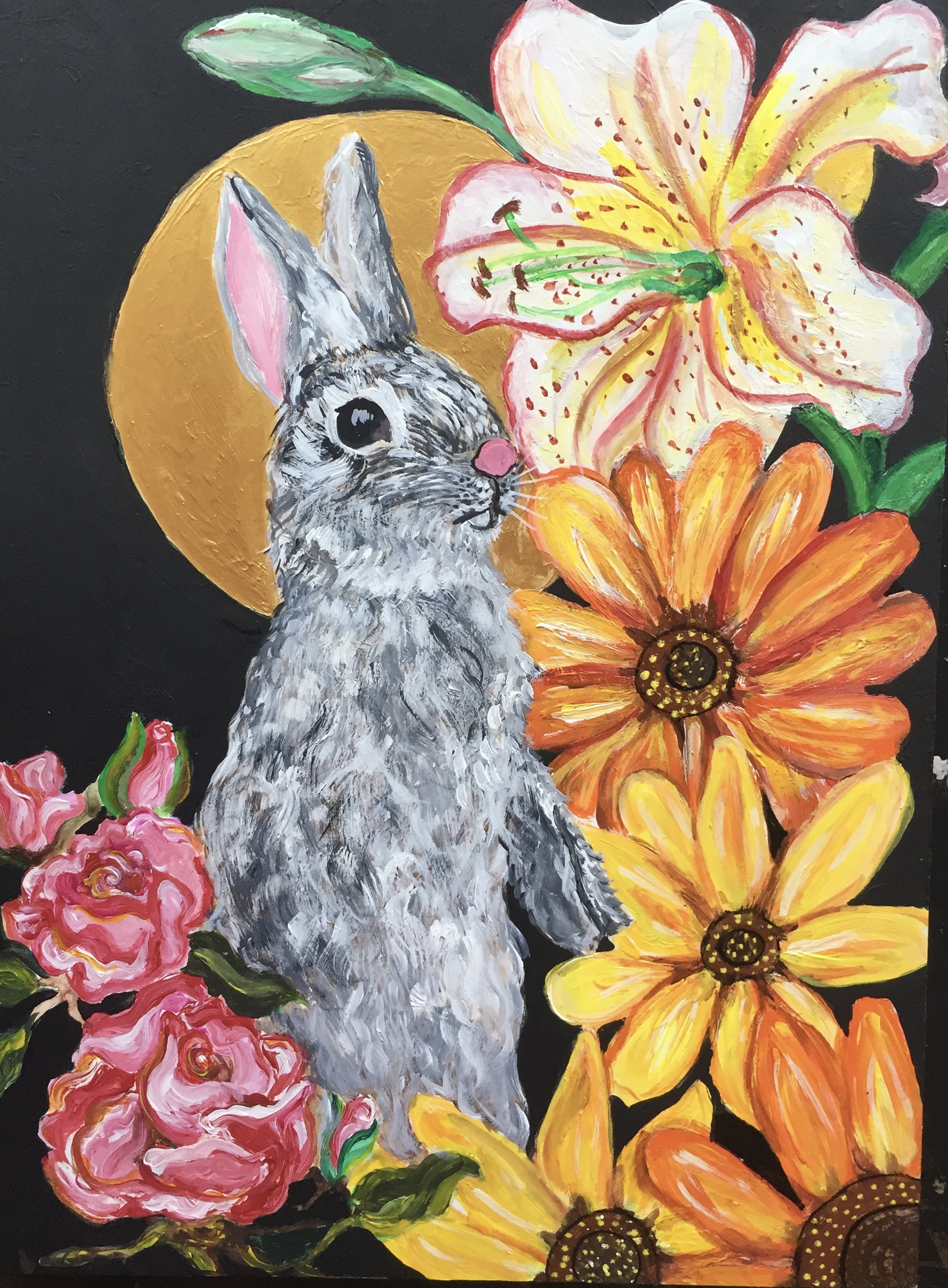 Jack Rabbit
