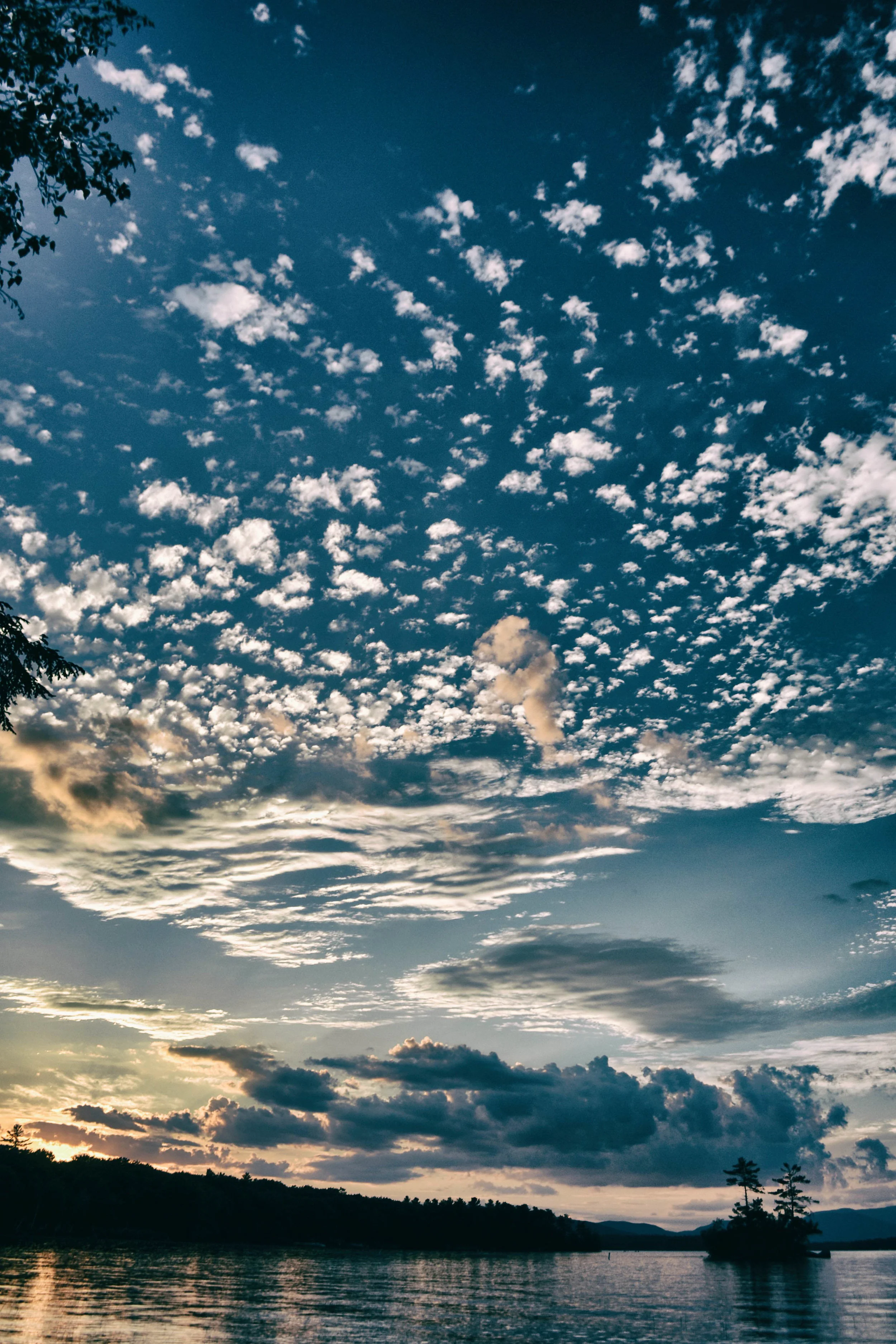 DSC_1115-Edit-2.jpg