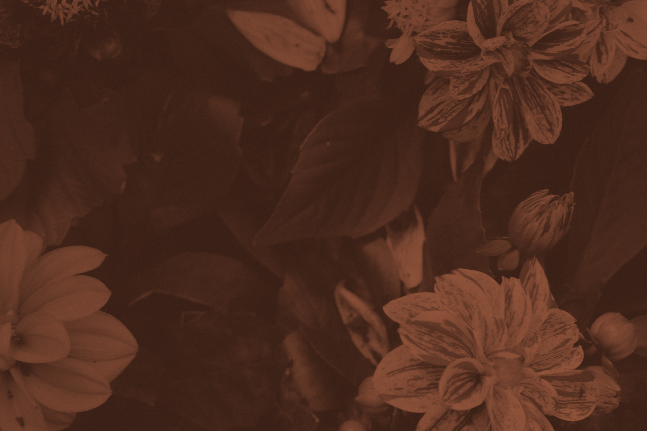 ks-header-05.png