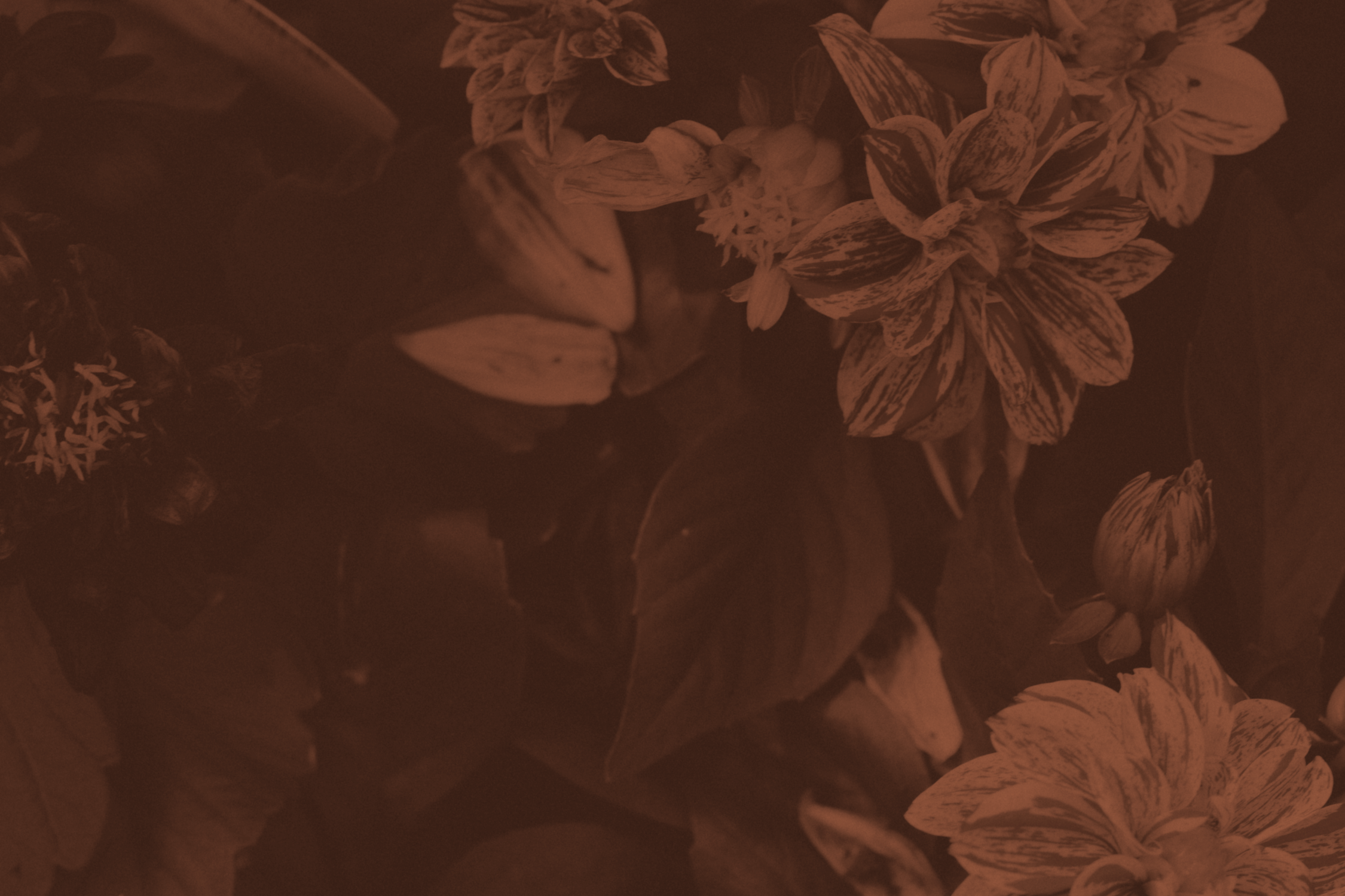 ks-header-02.png